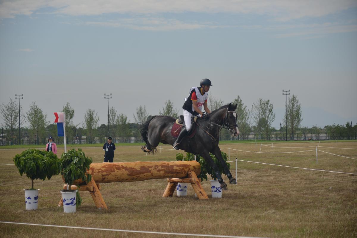 全国马术障碍赛，骑师挑战极限的精彩瞬间的简单介绍