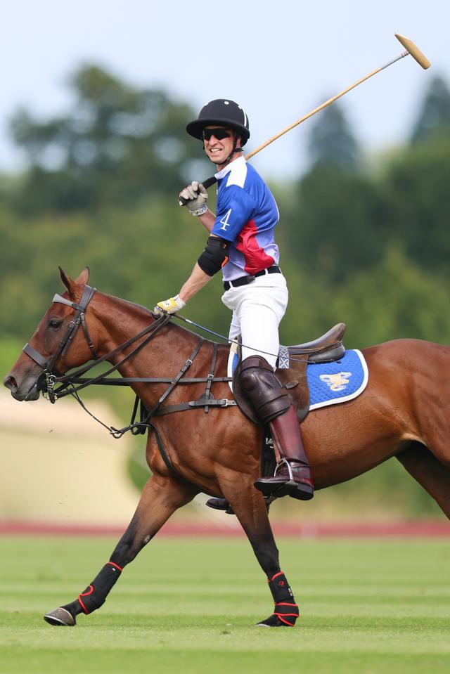 全国马术障碍赛，骑师挑战极限的精彩瞬间的简单介绍