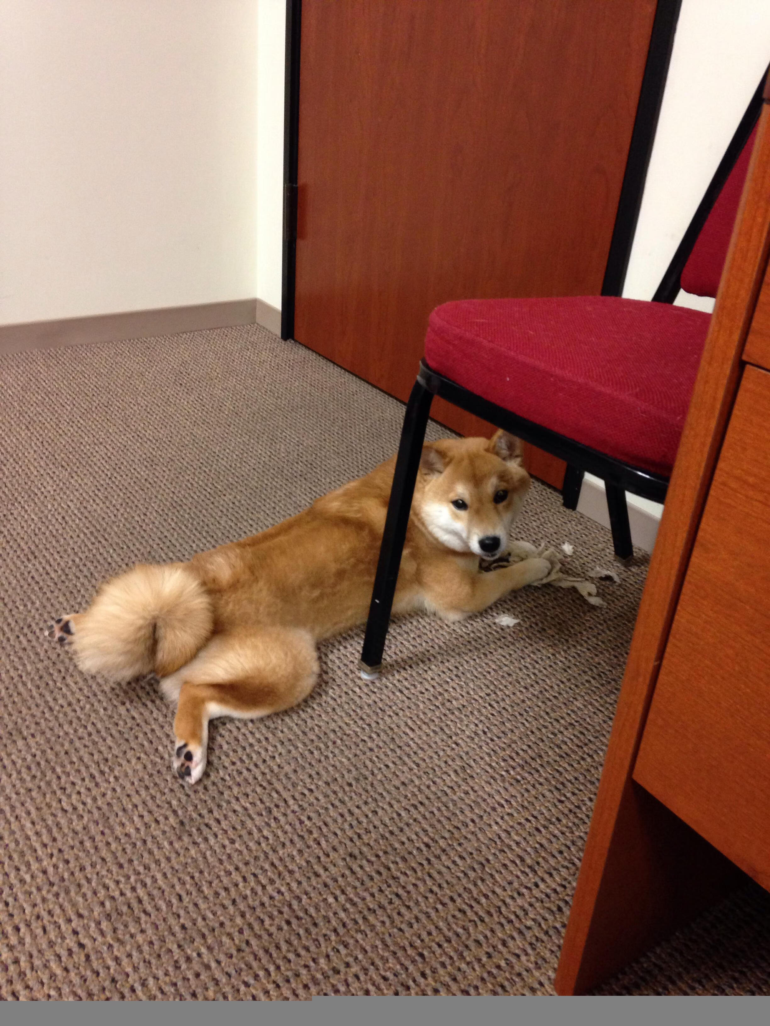 _联盟焦点：热火vs皇家具备看点_，热火vs黄蜂季后赛第七场