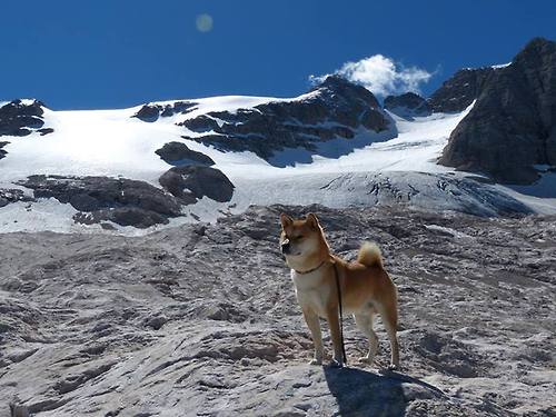 洛杉矶湖人在“新战术”带领下冲击总冠军！，洛杉矶湖人队比赛视频