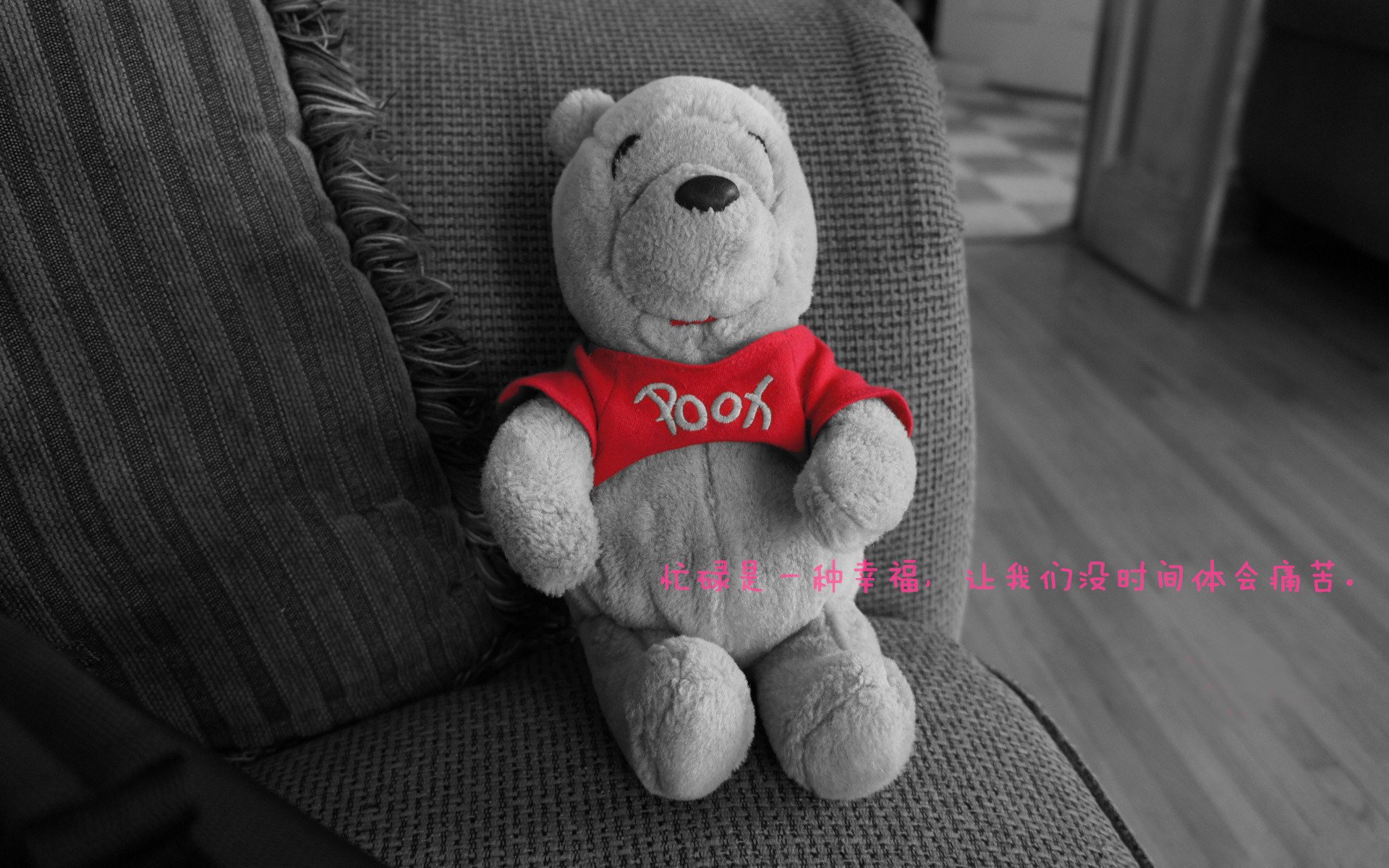 篮球运动员伤病康复方案多样化探索，篮球运动员 伤病