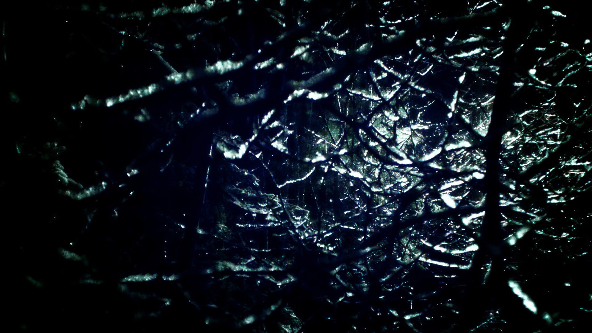 Team Liquid举办选手见面会,team liquid成员