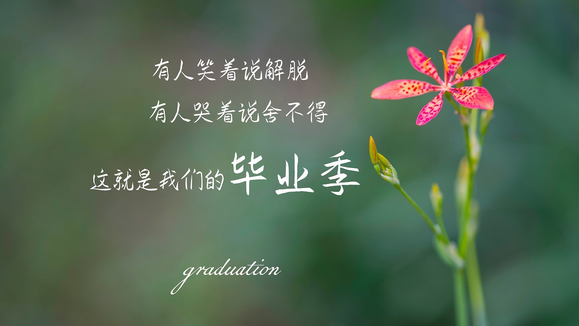 佛罗伦萨球员大胆发言，表达夺冠决心，佛罗伦萨队史50大球星