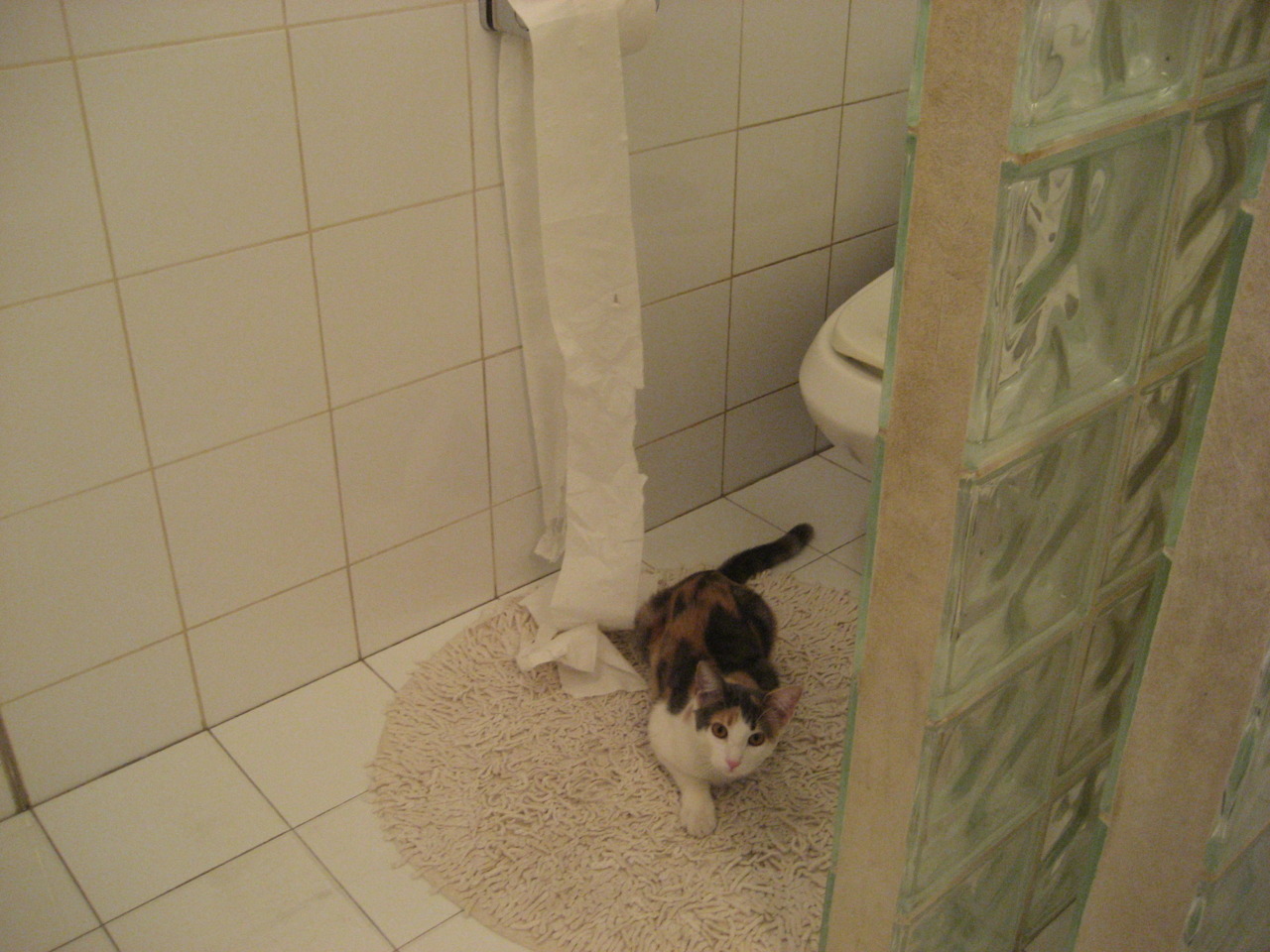 塞内加尔男足在巴黎奥运会上展现出强大的进攻火力,塞内加尔国家男子足球队