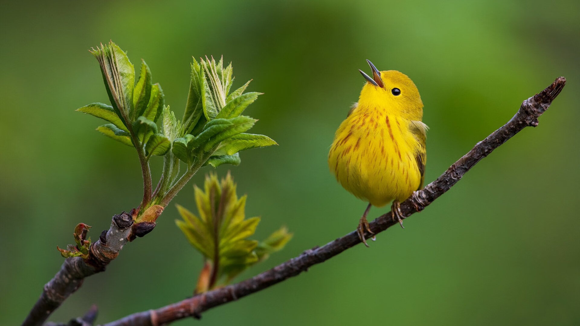 女足比赛公布最佳阵容,选手展现实力,女足最棒