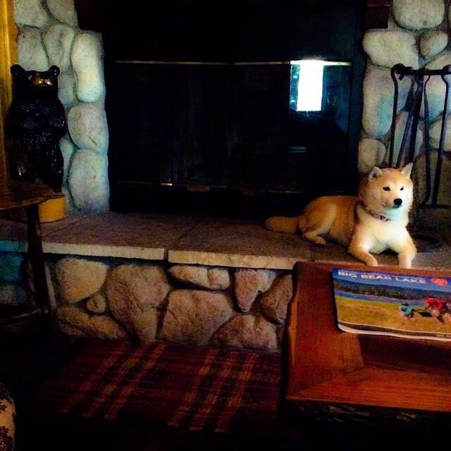 摩纳哥主场战胜安格斯，取得近期首场胜利，摩纳哥中场