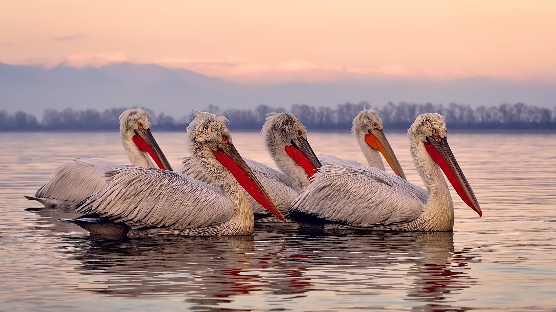 林肯城防线筑起铜墙铁壁，红白军团欲晋级季后赛，林肯红色