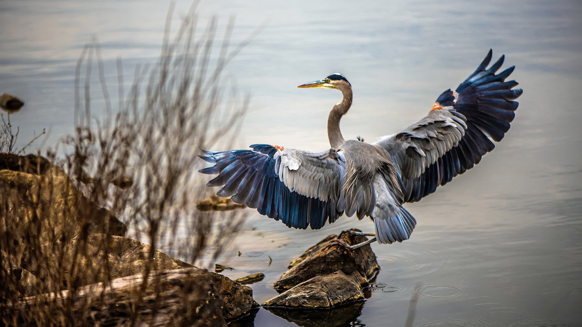 湖人双加时险胜太阳，詹眉合力砍下70分，湖人詹加强