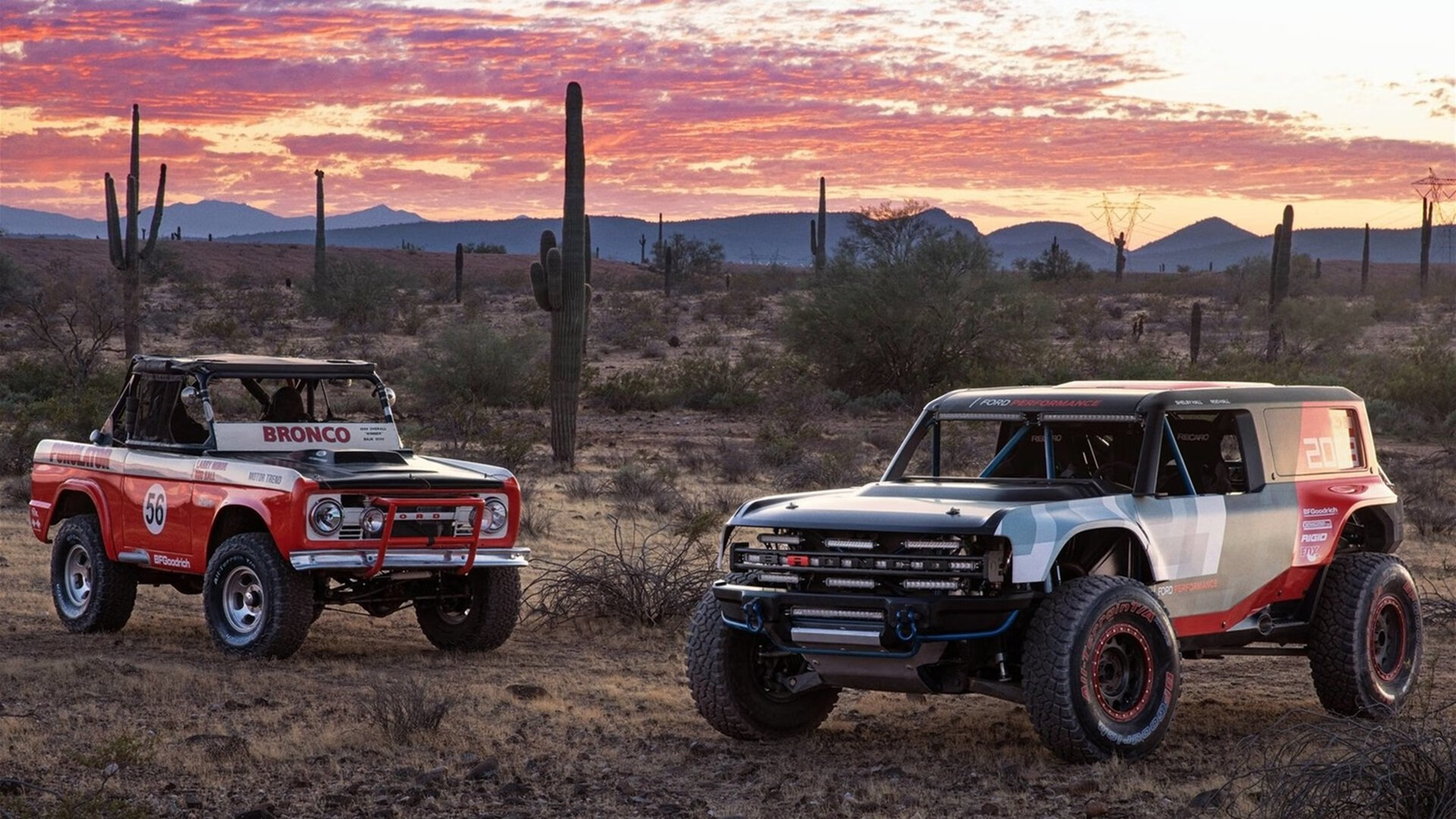 中超联赛中国队晋级 球迷群体积极互动,中超联赛所有队伍