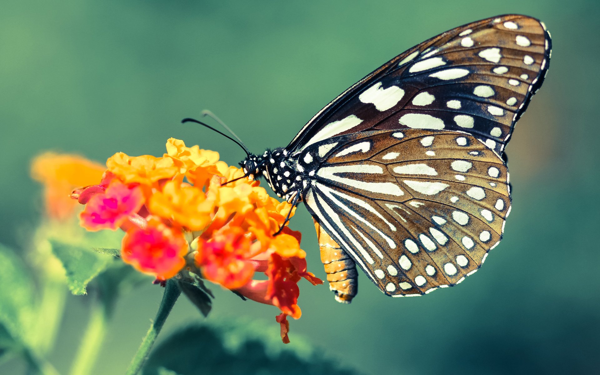 体育文化馆推出沉浸式互动展览，体育馆文化墙设计图