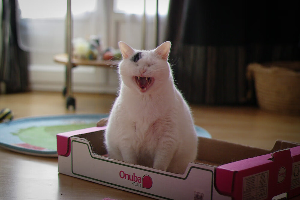 拜仁利用边后卫内收创造中路重叠优势,效力过拜仁的边后卫