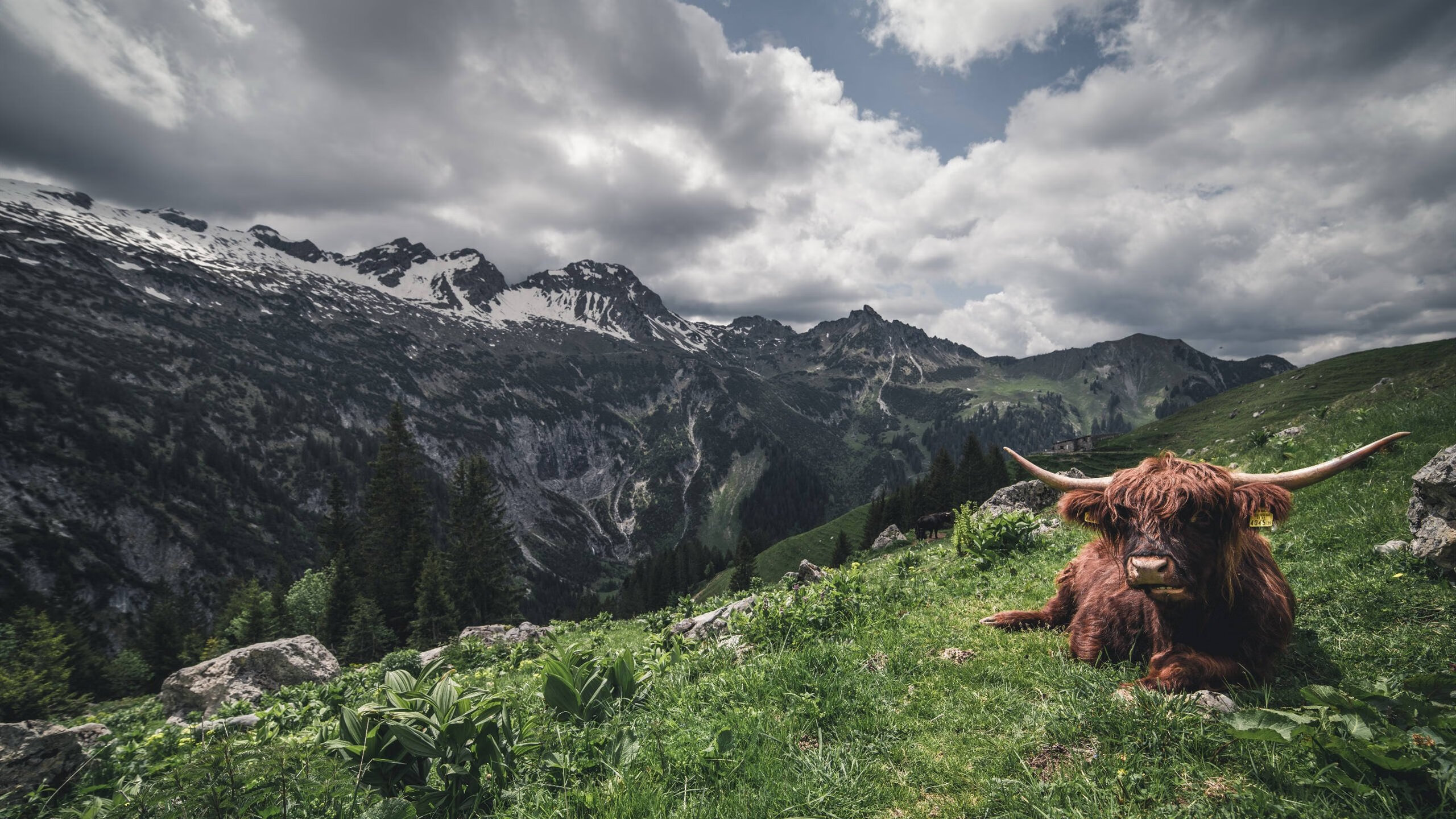 俱乐部开展青训导师计划选拔优秀退役球员参与培养新生力量，俱乐部青训营有工资吗
