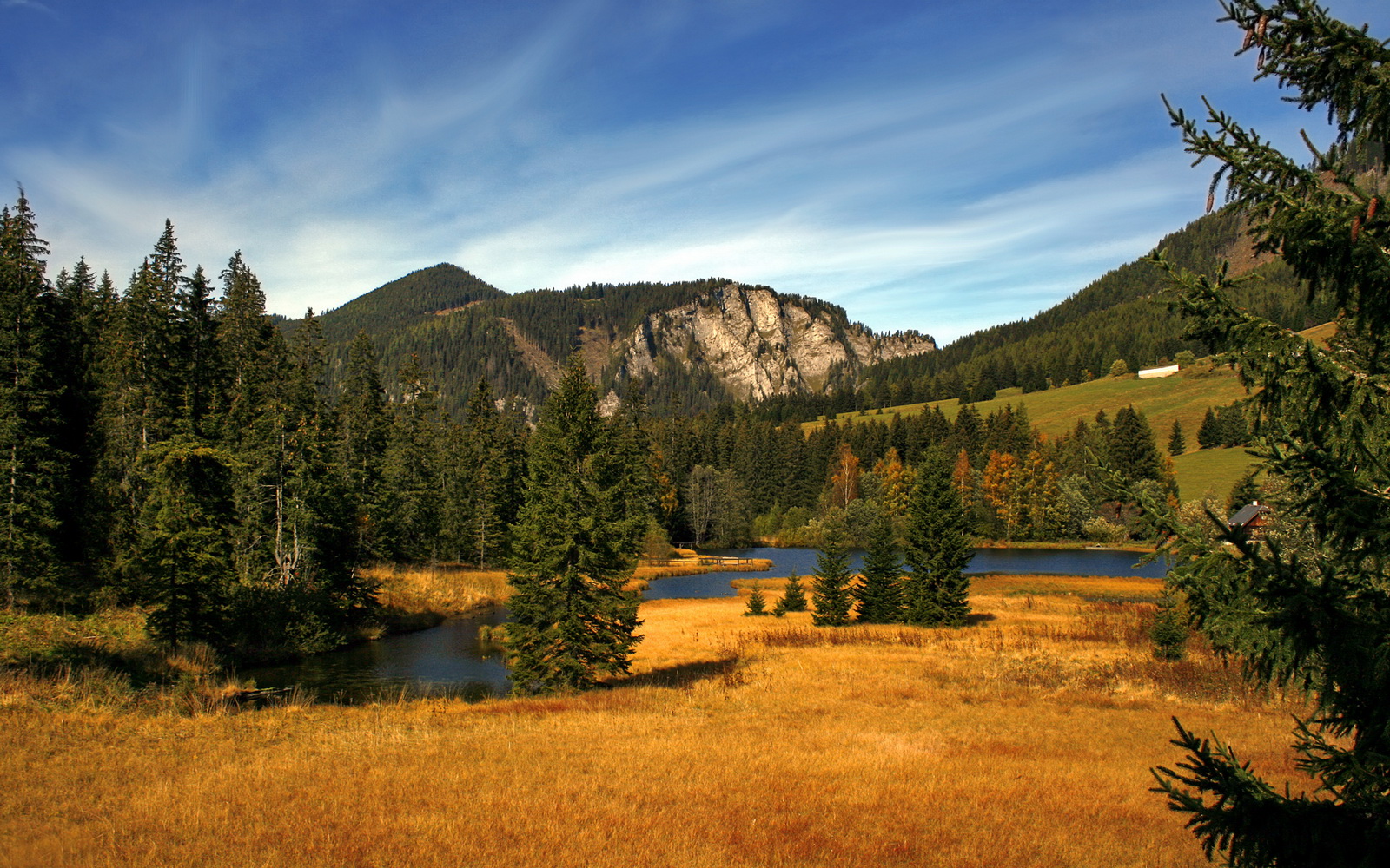 意甲高速突袭：瞬间破门点燃比赛！，意甲高能7秒